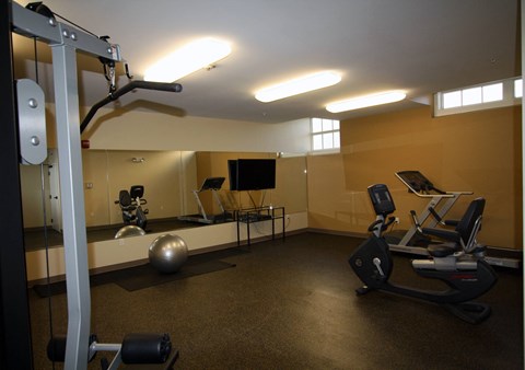 A gym with a variety of equipment including a treadmill, a stationary bike, a rowing machine, a weight bench, a medicine ball, and a pull-up bar.