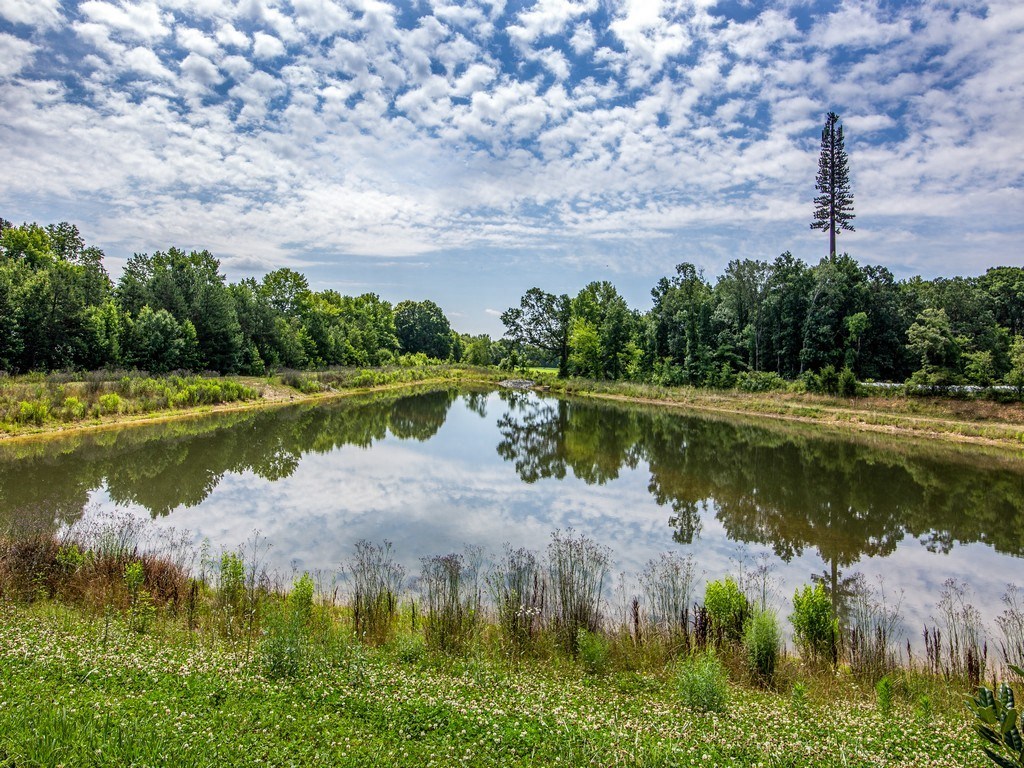 Pond view at Ardmore at the Trail, Indian Trail, NC 28079