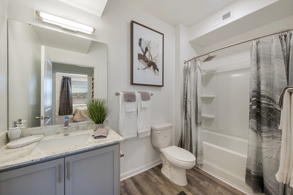 a bathroom with a shower toilet and sink and a mirror