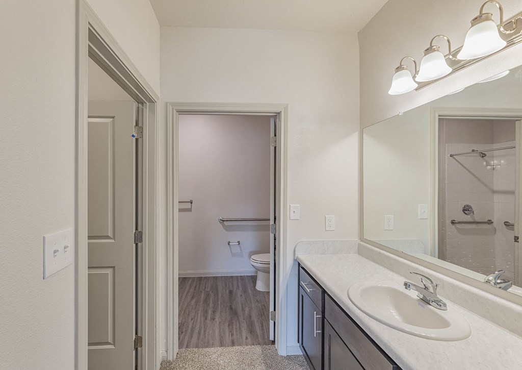 a bathroom with a mirror and a sink and a toilet