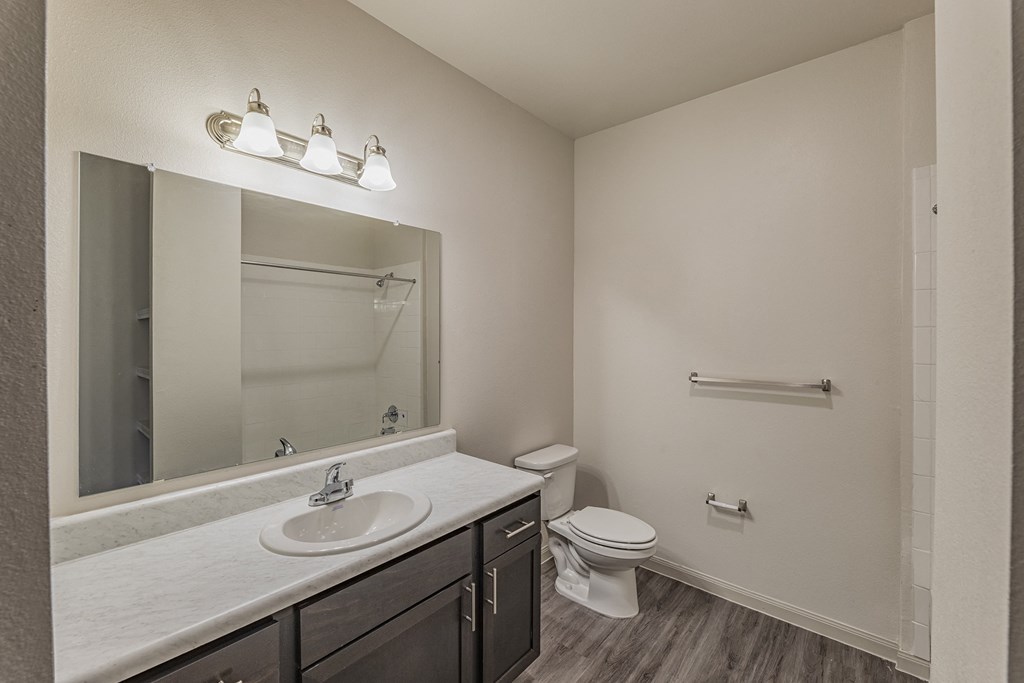 a bathroom with a large mirror and a sink and a toilet