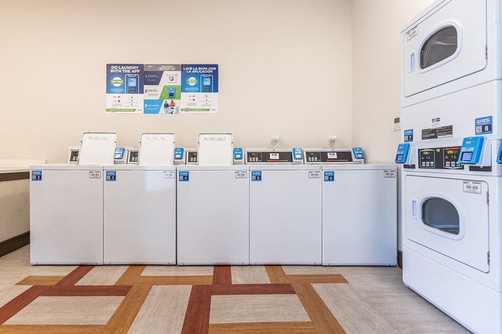 a row of washers and dryers in a laundry room