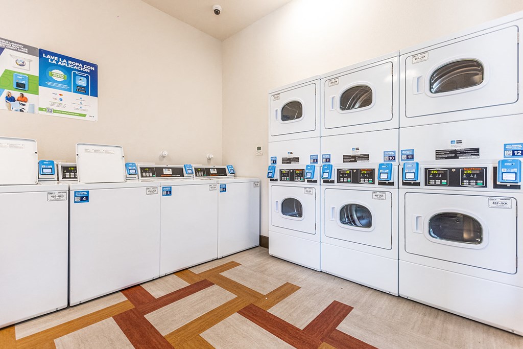 a washer and dryer room with a bunch of washing machines