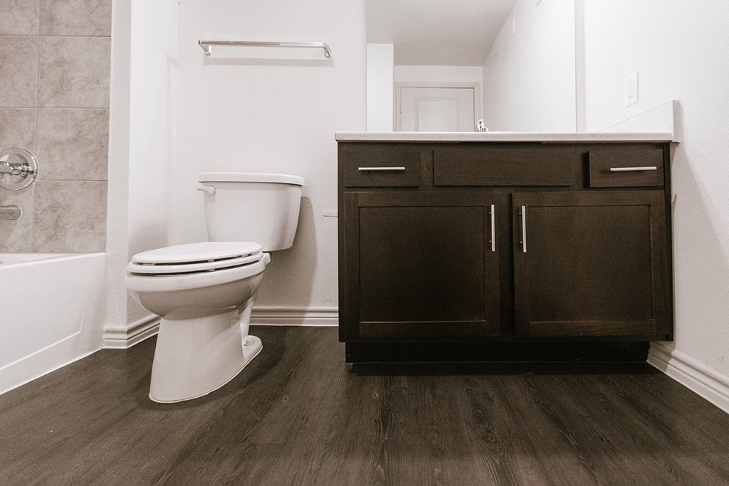 a bathroom with a toilet and a sink