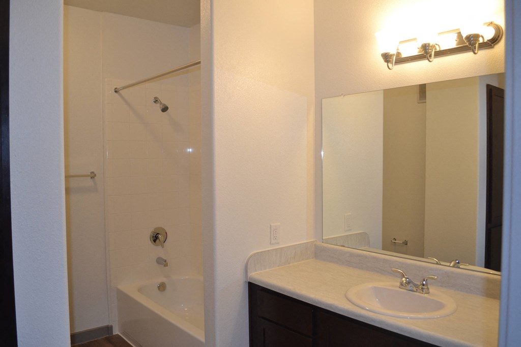 a bathroom with a sink and a shower and a mirror