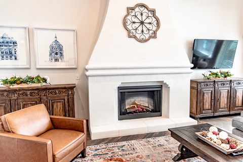 a living room with a fireplace and couches and a tv