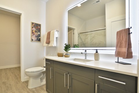 a bathroom with a sink and a toilet and a mirror