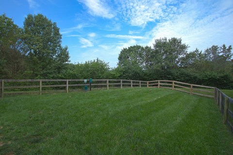 A green field with a fence and trees in the background.