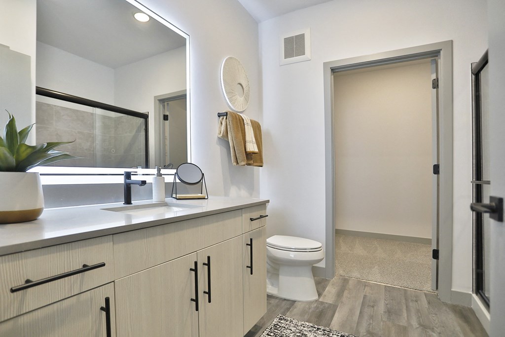 a bathroom with a toilet and a sink and a mirror