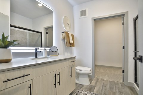 a bathroom with a toilet and a sink and a mirror