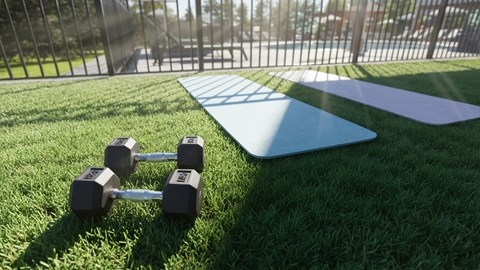 A pair of dumbbells rest on a green lawn next to a yoga mat.