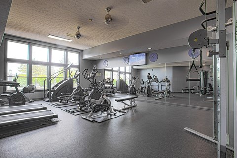 A spacious gym with a variety of equipment.