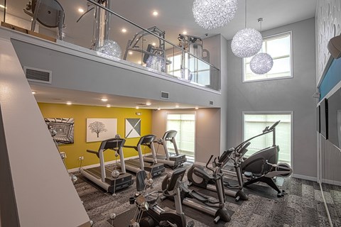 A gym with treadmills and elliptical machines.