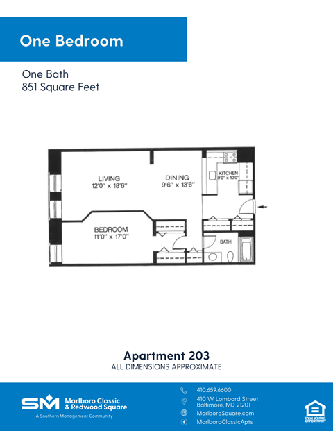 Apartment 203 floor plan for a one bedroom apartment.