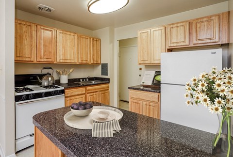 laurelton court kitchen