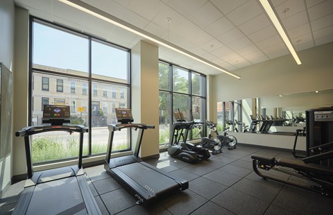 A gym with treadmills, exercise bikes, and other equipment.