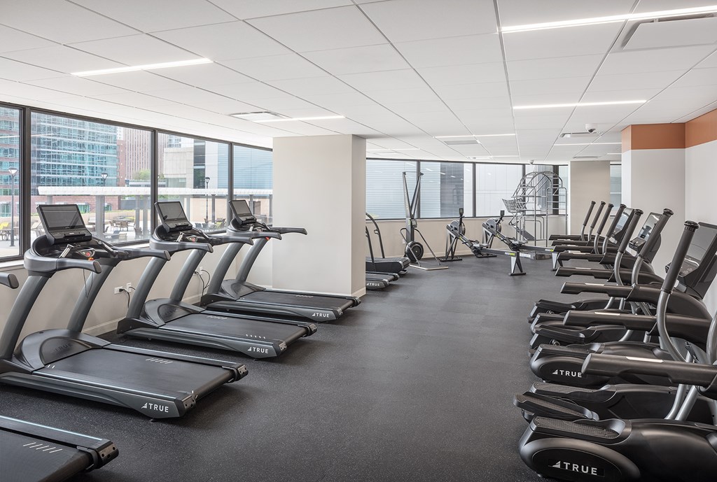 a gym with rows of cardio equipment and large windows