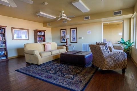 A living room with a couch, chair, and rug.