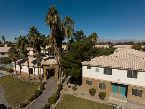 A building with a blue door is surrounded by palm trees.
