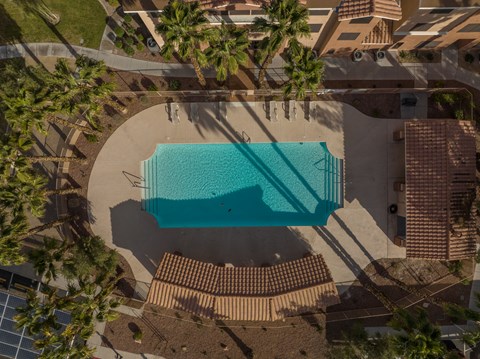 An aerial view of a swimming pool surrounded by palm trees and a building.