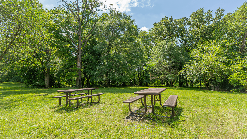 Picnic tables are set up in a grassy area with trees in the background at Eagles Crossing Apartments, Washington, DC