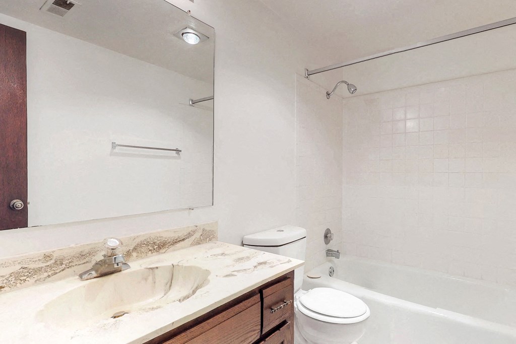 a bathroom with a sink and a toilet and a bath tub