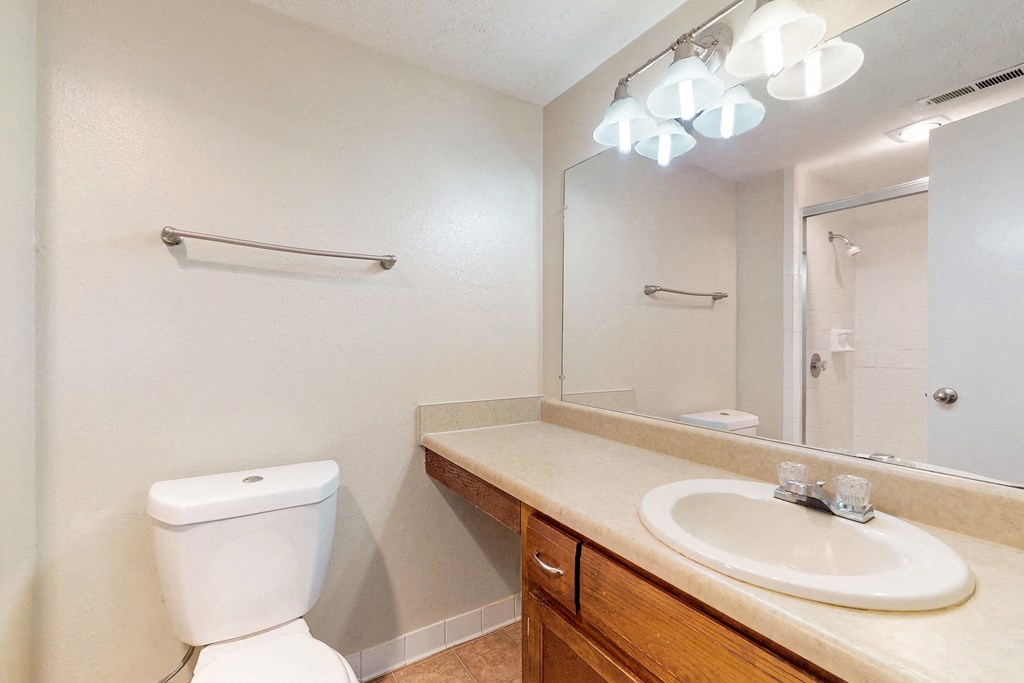 a bathroom with a mirror and a sink and a toilet