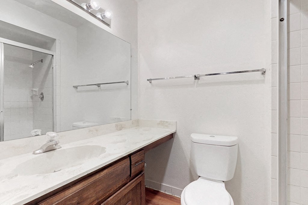 a bathroom with a toilet and a sink and a mirror