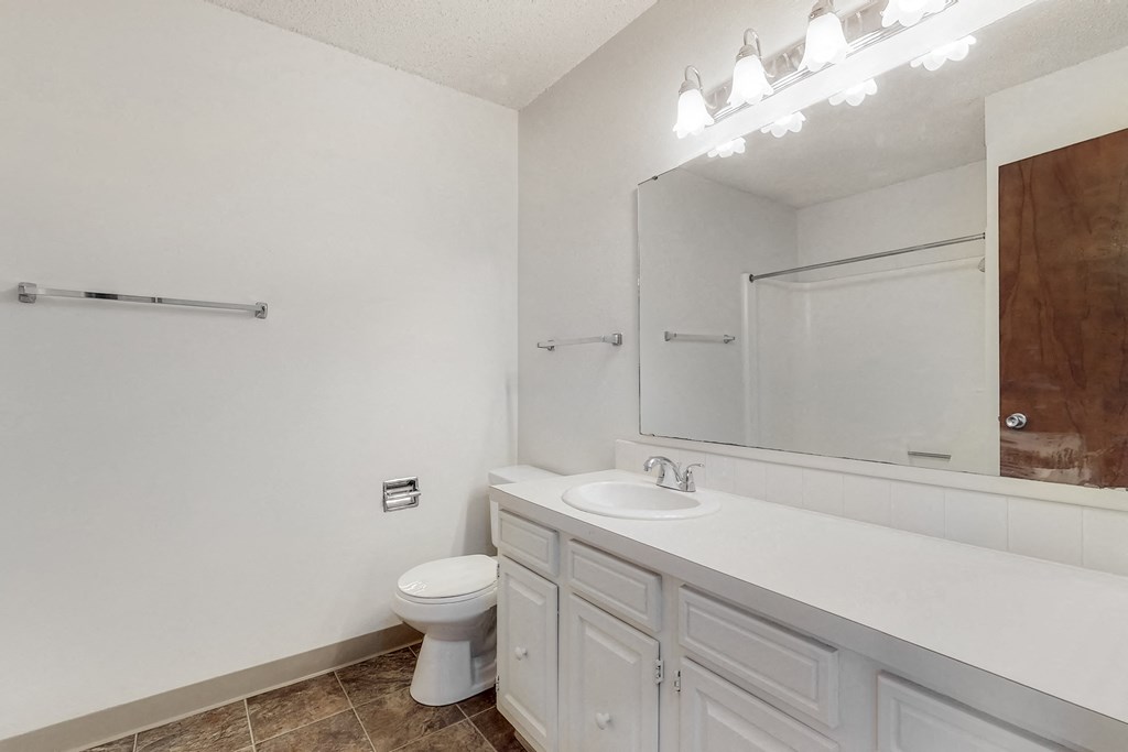 a bathroom with a sink and a toilet and a mirror