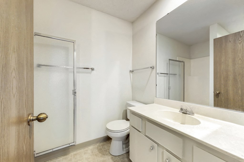 a bathroom with a sink toilet and a shower