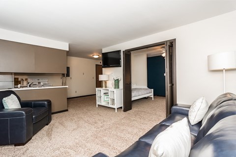 A living room with a black couch and a white sofa.