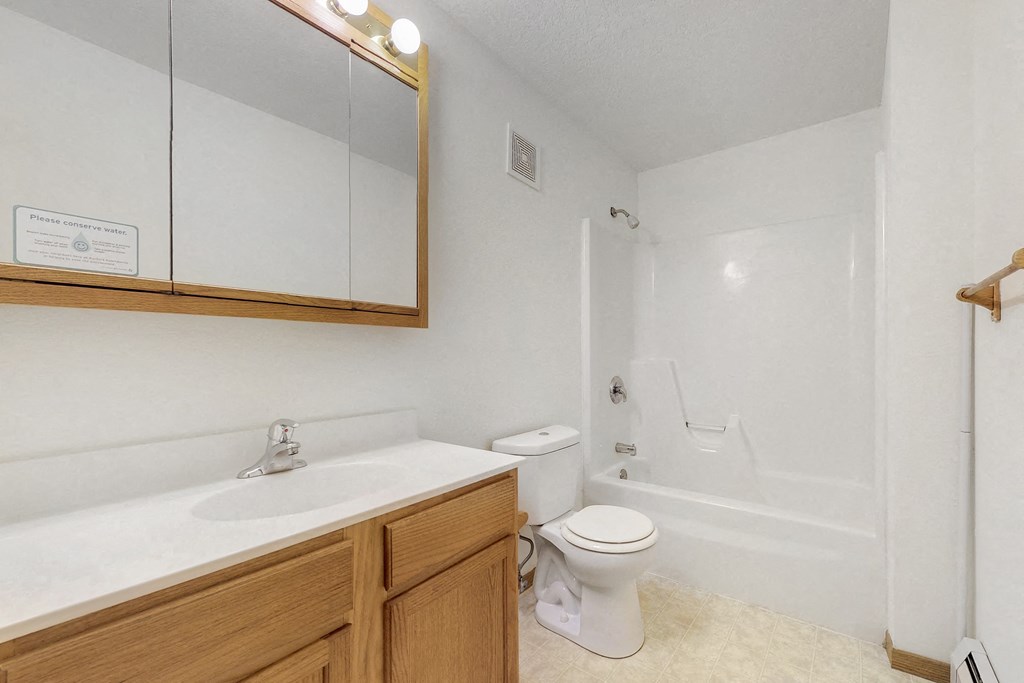 a bathroom with a sink and a toilet and a bath tub