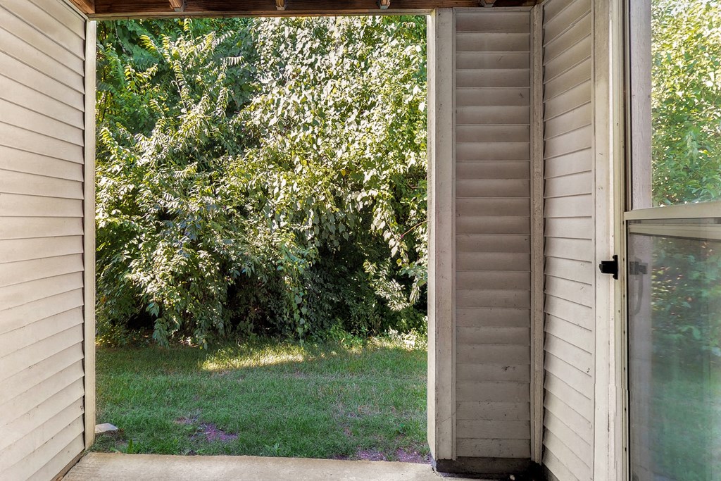 the view out the back door of a house into the yard