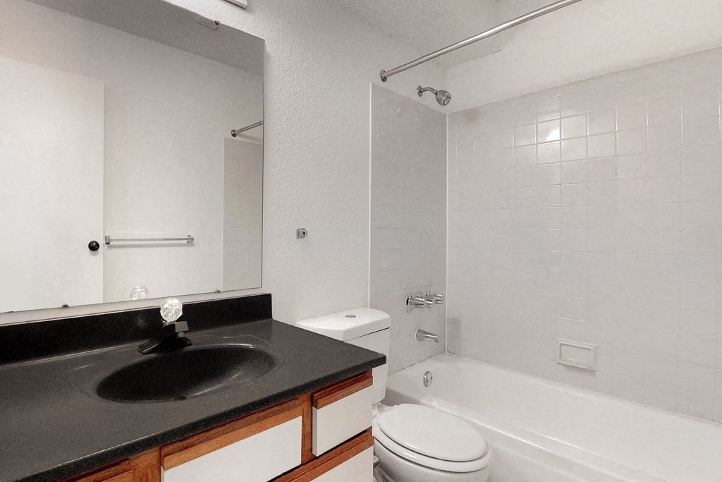 a bathroom with a sink and a toilet and a bath tub