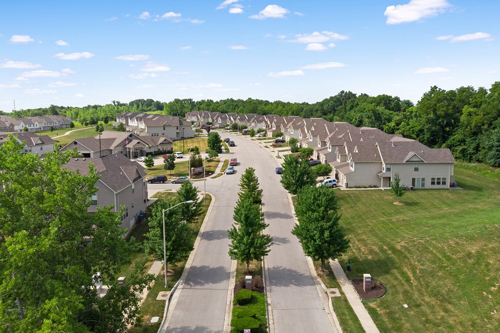an aerial view of a neighborhood with houses and trees