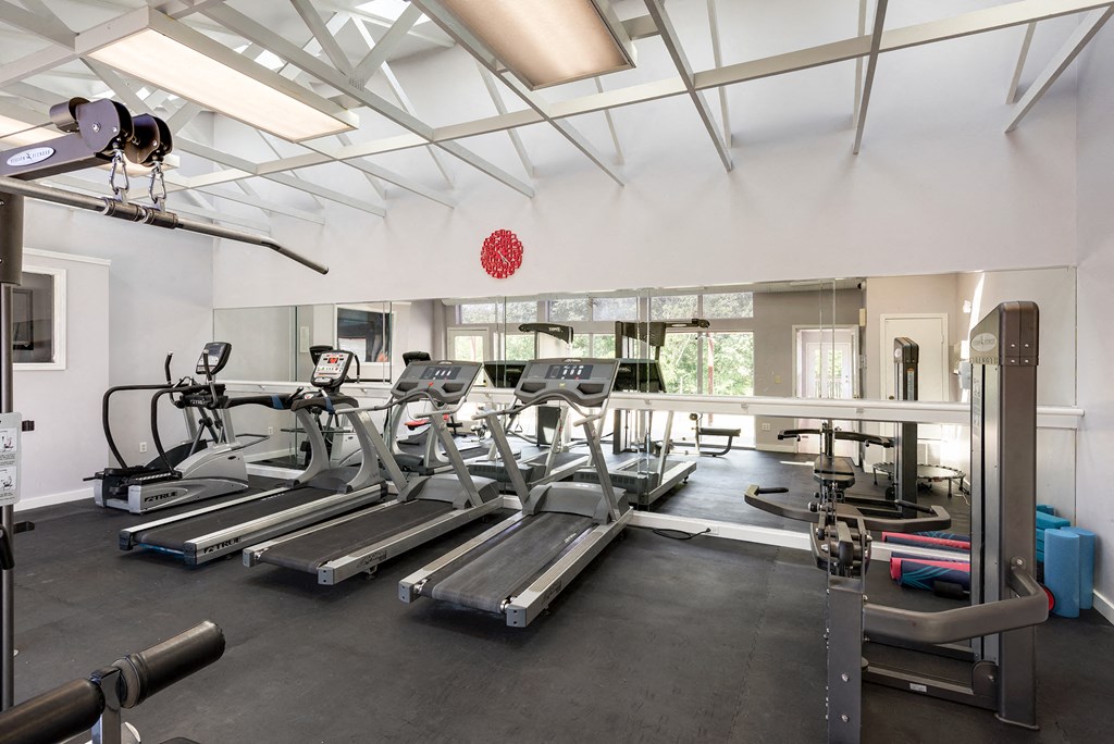 a gym with treadmills and other exercise equipment