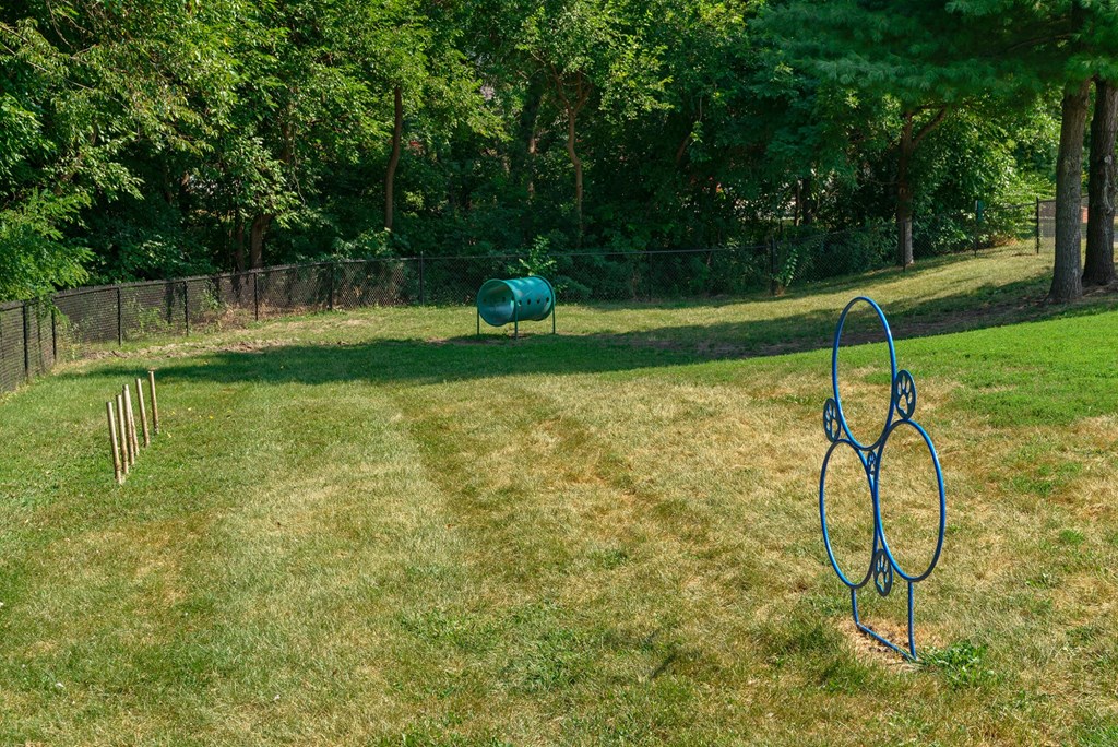a yard with a green horse in the grass