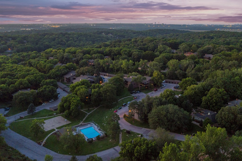 an aerial view of a neighborhood with a swimming pool and trees