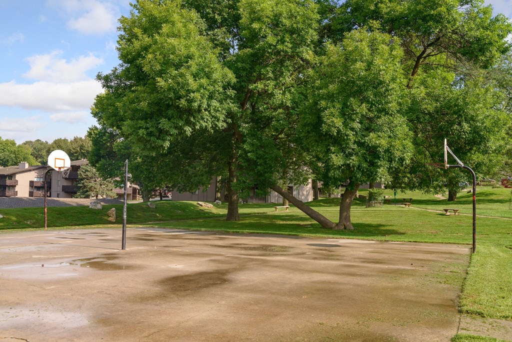 a basketball court in a park with trees
