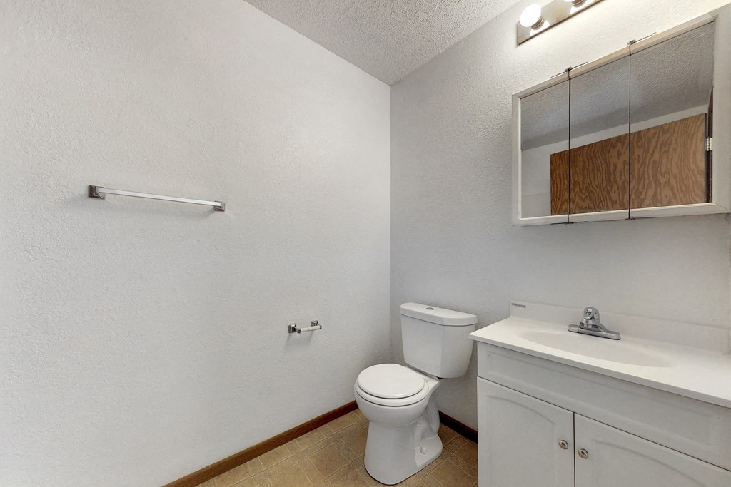 a bathroom with a toilet and a sink and a mirror