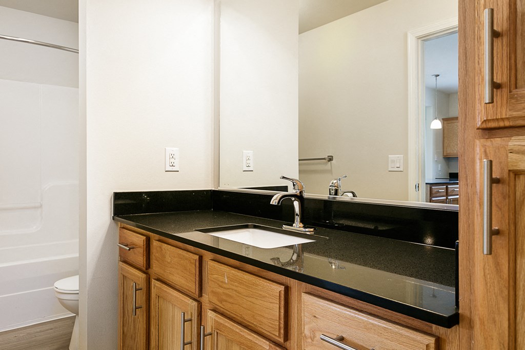 a bathroom with a sink and a mirror and a toilet