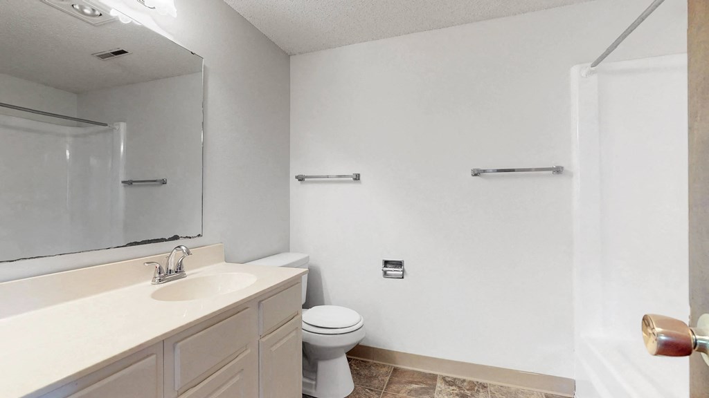 a bathroom with a sink and a toilet and a mirror