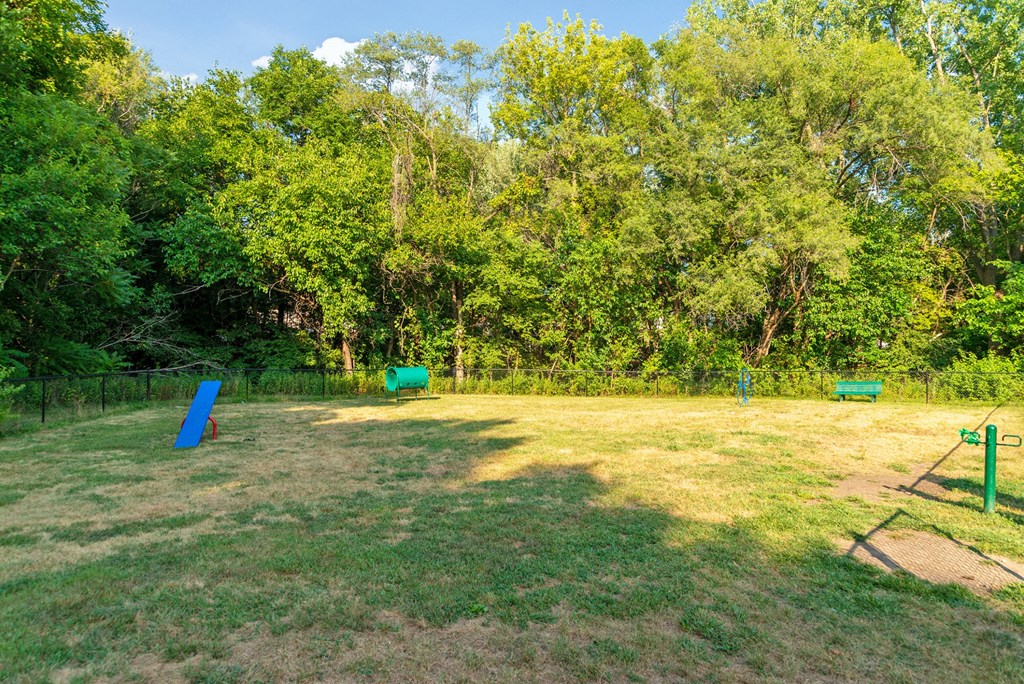 a park with agility equipment and trees in the background