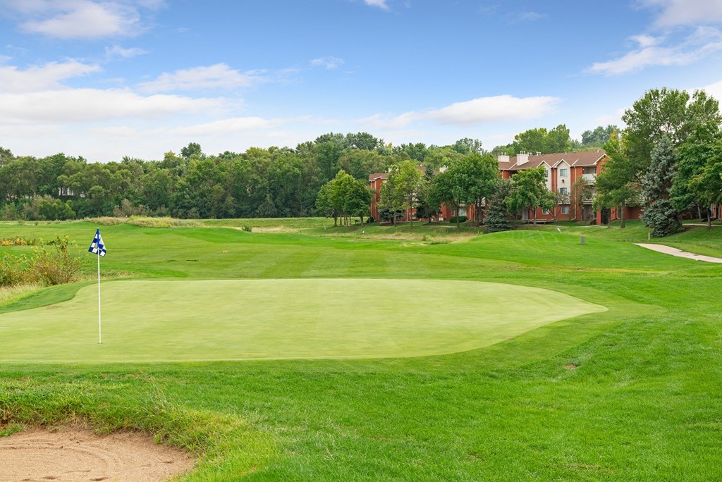 a golf course with a green and a flag on it