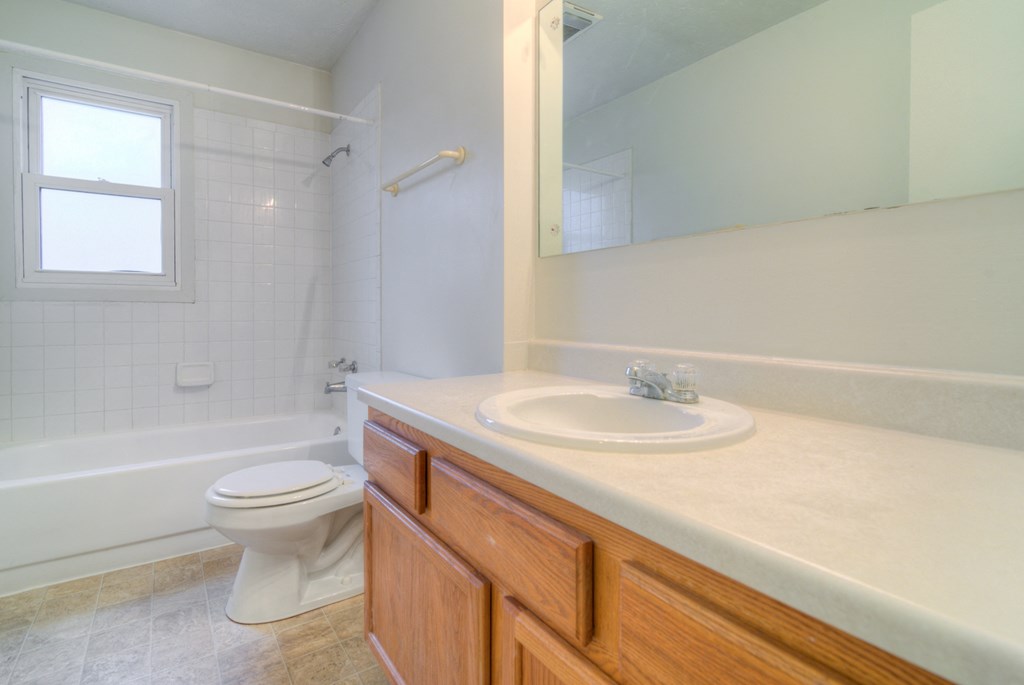 a bathroom with a sink and a toilet and a shower