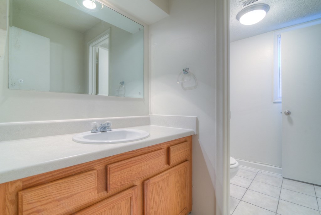 a bathroom with a sink and a mirror and a shower