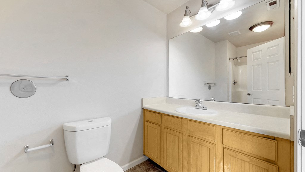 a bathroom with a toilet and a sink and a mirror