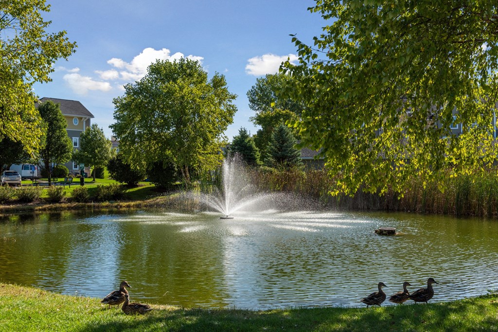 a fountain in the center of a pond with ducks swimming in it