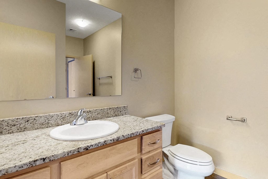 a bathroom with a sink and a toilet and a mirror