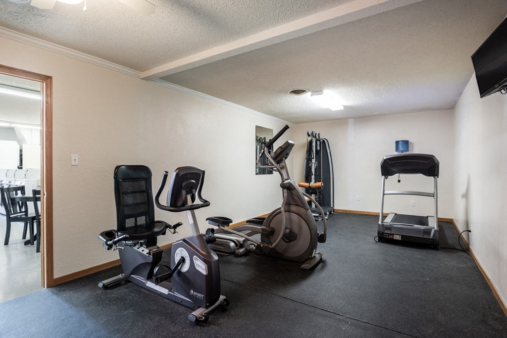 the gym has plenty of exercise equipment for your use